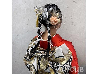 サーカス(circus)の写真