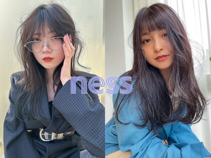 ネス(ness)の写真