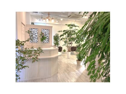 イマテソラ(imatesora)の写真