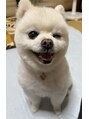 アパートメント 松江学園店(APARTMENT) 愛犬