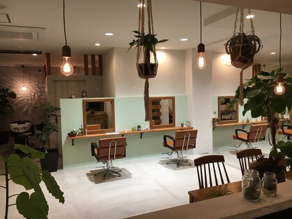 ステラヴィ(stellavie)の写真