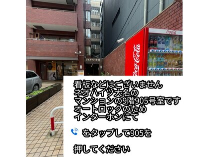 トゥーリ(tuuli)の写真