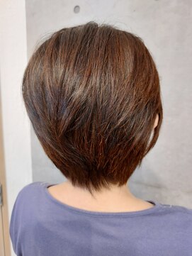 タエビスアリッサム(Taebis Alyssum) 白髪ぼかし(ショートスタイル、北習志野)