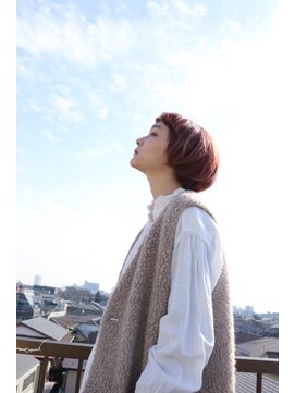 ザップ(ZAP) マッシュボブ