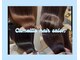 カメリアヘアサロン サッポロ(Camellia hair salon SAPPORO)の写真