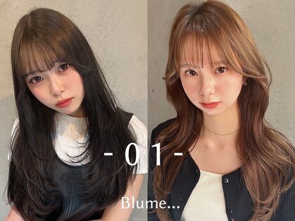 ブルーメ(Blume...)の写真