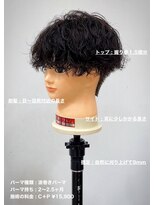 ディータ(Dita) 無造作波巻きマッシュパーマ大宮メンズカットパーマ美容室