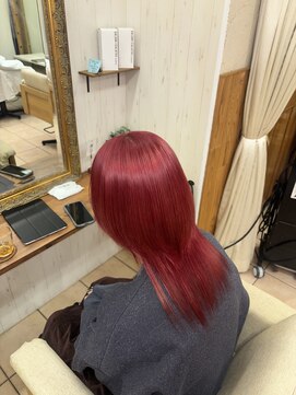 ウィルゴ(VIRGO) レッドカラー