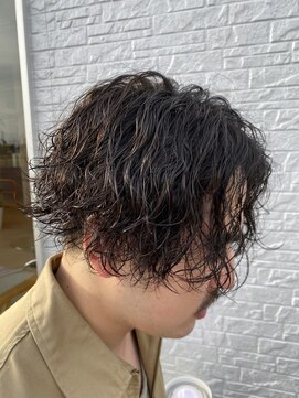 アクイール イストワール(Accueillir Histoire) 縦落ちツイスパ