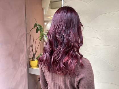 チャオ(CIAO)の写真