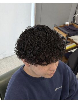 ヘアーアンドビューティー ザ ビー(Hair & Beauty the B) 波巻きプードル
