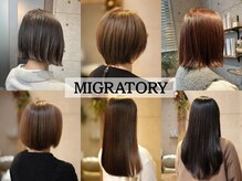 マイグラトリー(MIGRATORY)