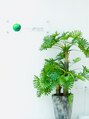 グッドヘアー グリーン(good hair green)/good hair green 