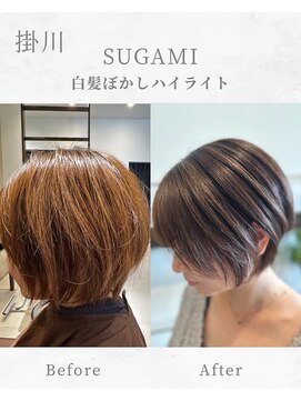 スガミ(SUGAMI) 白髪ぼかしハイライト