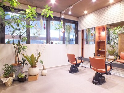 店内観葉植物も多く、おちついた雰囲気です。