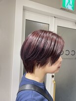 トッカ ANNEX京都河原町(tocca) ピンクラベンダー