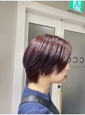 ピンクラベンダー