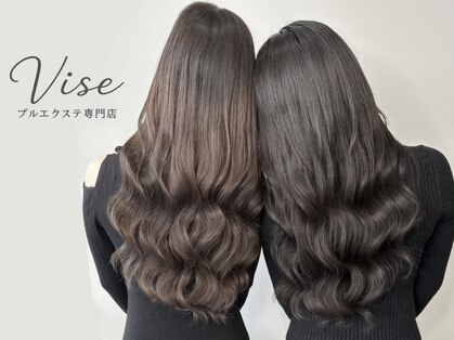 ビセ(VISE)の写真