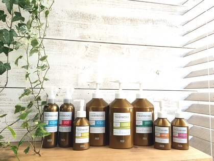 リリー(Lilly)の写真