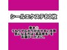 限定！【通常毛人毛100％】シールエクステ80枚￥22400