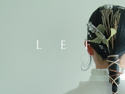 レフ(LEF)の写真