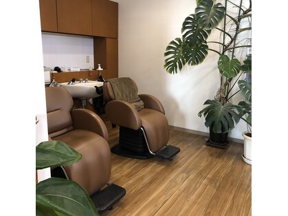 モレア(MOREA)の写真