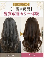 リアン(Lien) 【フルカラー】【白髪×艶髪】髪質改善カラー体験