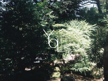 ヨリ(YoLi)の写真