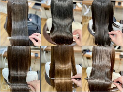 シキ(Shiki)の写真