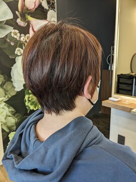 カシココ193(casicoco193.) コンパクトショート