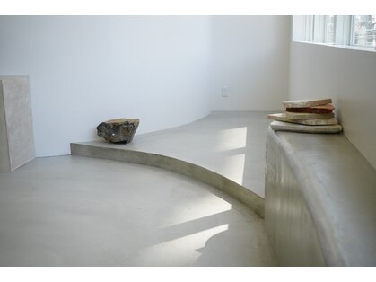 ジル(dill)の写真