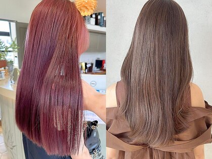 ファルファラ(farfara)の写真