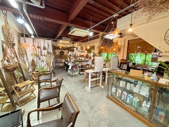 ブラウンバニーオーケストラ(Brown Bunny Orchestra)の写真/《ブエナビスタ近く》私だけの隠れ家サロン―。cafeのような癒し空間で“あなただけ”に寄り添ってくれる。