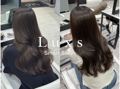 ルクス(Luxs)の写真