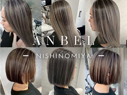 アンベル(ANBEL)の写真