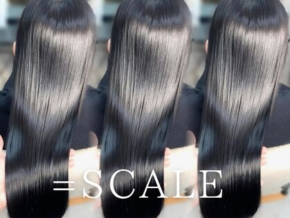 スケール(=SCALE)の写真
