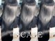 スケール(=SCALE)の写真