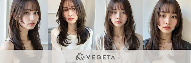 ベジータ(VEGETA)のサロンヘッダー