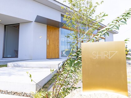 シロ(SHIRO)の写真