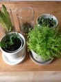 ユーヘン(uhem) 小さい植物たちも育ててます。