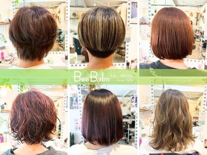 ビーバーム(Bee Balm)の写真