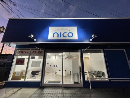 ニコ(Nico)の写真