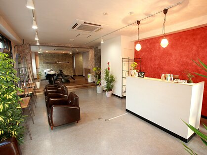 メルシー(merci)の写真