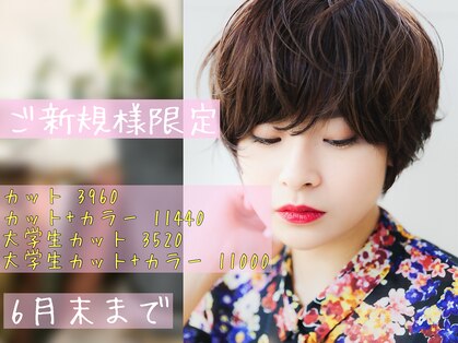 ベイビーズブレス(Baby's breath)の写真
