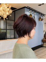 サンラゾン(SanRazon)&nbsp;【軟毛ショート】トップのボリュームが出にくい方へ