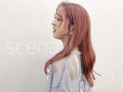 シーナ(scena)の写真