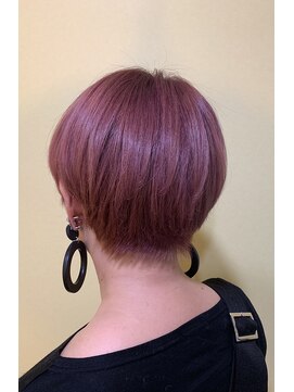 ネリネ(nerine) 個性派カラー