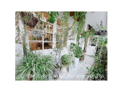 イマテソラ(imatesora)の写真