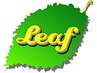 迷ったらこれ！ ＬＥＡＦコース 