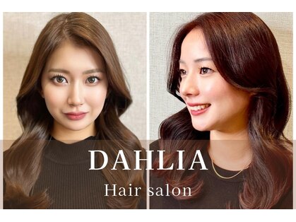 ダリア(Dahlia)の写真